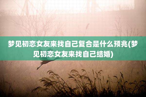 梦见初恋女友来找自己复合是什么预兆(梦见初恋女友来找自己结婚)