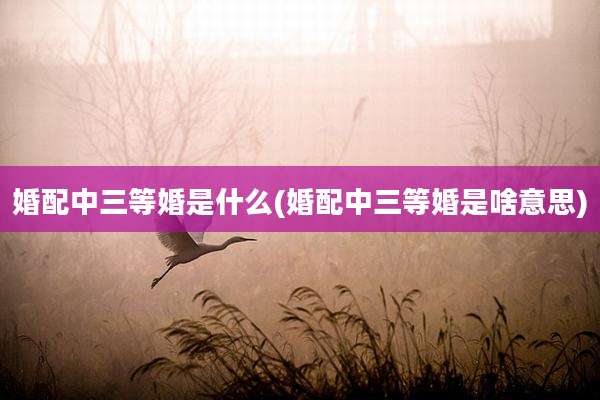 婚配中三等婚是什么(婚配中三等婚是啥意思)