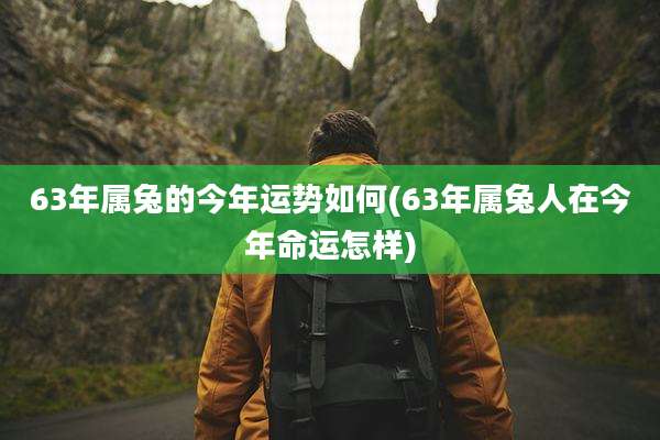63年属兔的今年运势如何(63年属兔人在今年命运怎样)