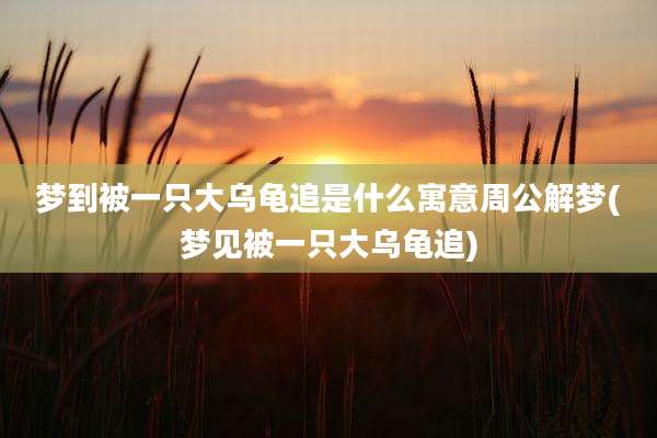 梦到被一只大乌龟追是什么寓意周公解梦(梦见被一只大乌龟追)