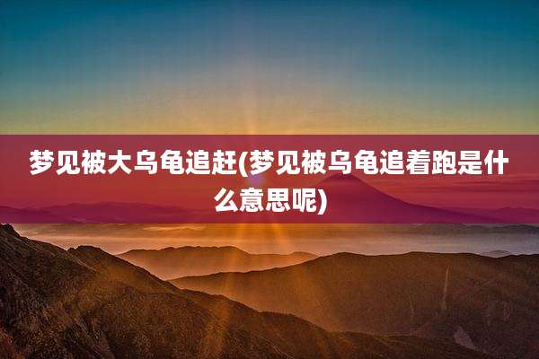 梦见被大乌龟追赶(梦见被乌龟追着跑是什么意思呢)