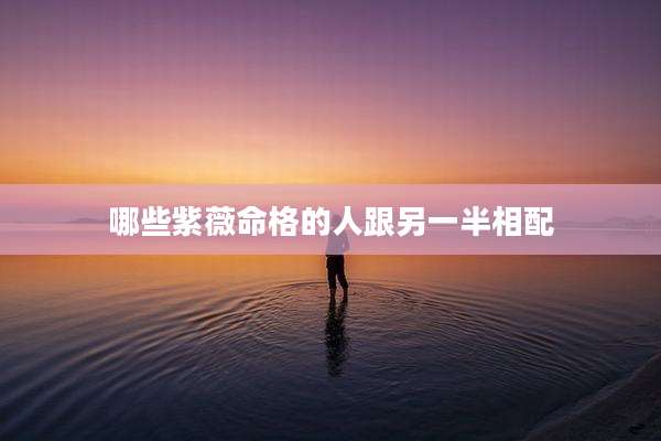 哪些紫薇命格的人跟另一半相配
