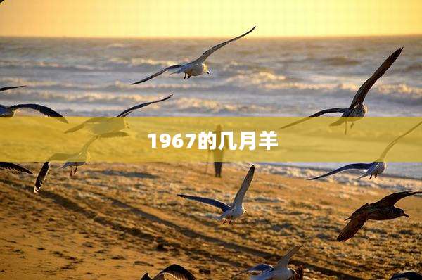 1967的几月羊