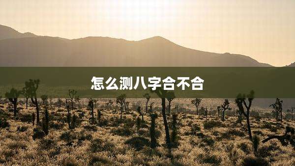 怎么测八字合不合