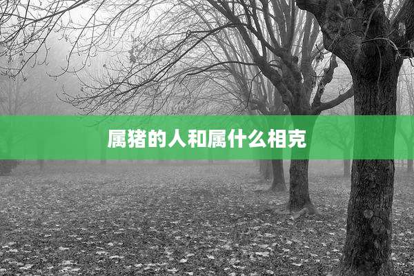 属猪的人和属什么相克