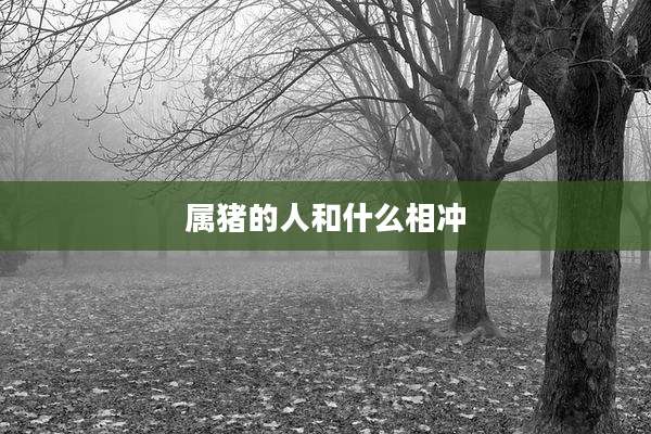 属猪的人和什么相冲
