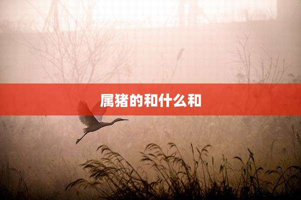 属猪的和什么和