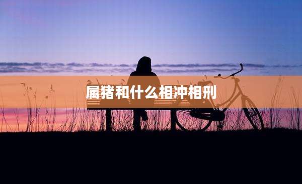 属猪和什么相冲相刑