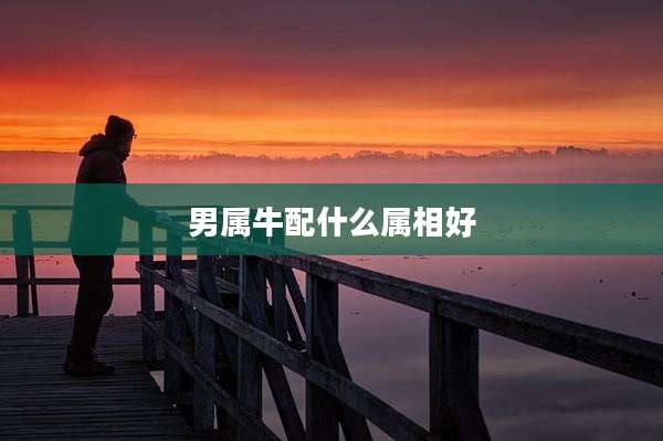 男属牛配什么属相好