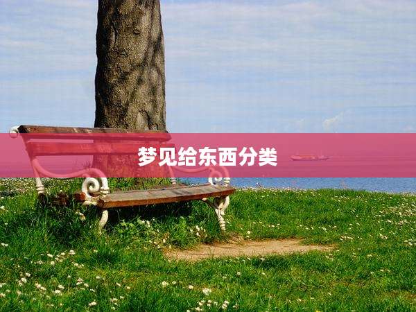 梦见给东西分类