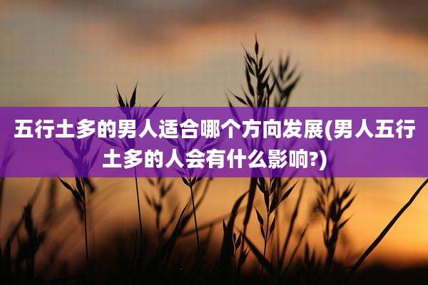 五行土多的男人适合哪个方向发展(男人五行土多的人会有什么影响?)