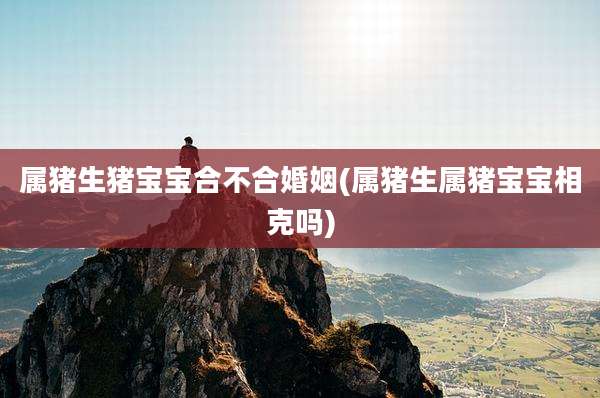 属猪生猪宝宝合不合婚姻(属猪生属猪宝宝相克吗)