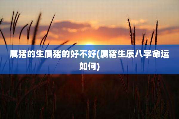 属猪的生属猪的好不好(属猪生辰八字命运如何)