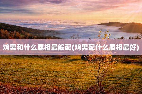 鸡男和什么属相最般配(鸡男配什么属相最好)