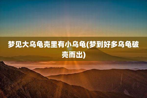 梦见大乌龟壳里有小乌龟(梦到好多乌龟破壳而出)