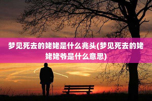 梦见死去的姥姥是什么兆头(梦见死去的姥姥姥爷是什么意思)