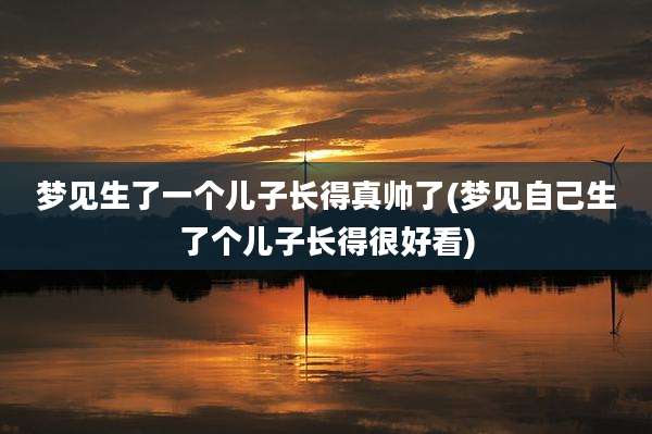 梦见生了一个儿子长得真帅了(梦见自己生了个儿子长得很好看)