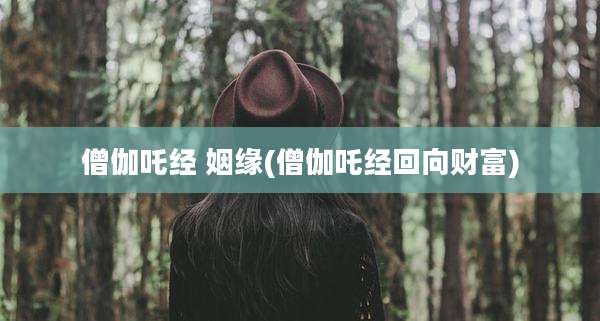 僧伽吒经 姻缘(僧伽吒经回向财富)