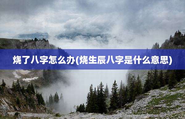 烧了八字怎么办(烧生辰八字是什么意思)