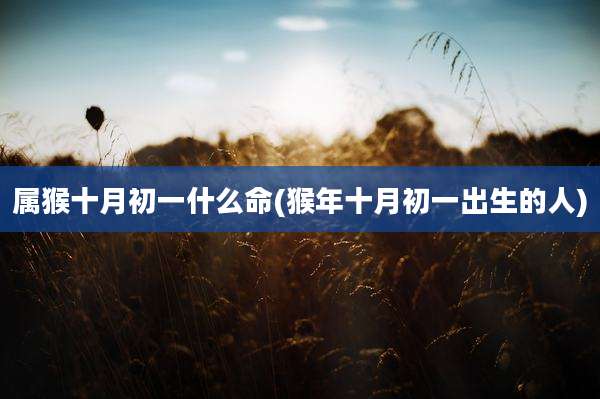 属猴十月初一什么命(猴年十月初一出生的人)