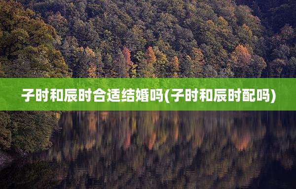 子时和辰时合适结婚吗(子时和辰时配吗)