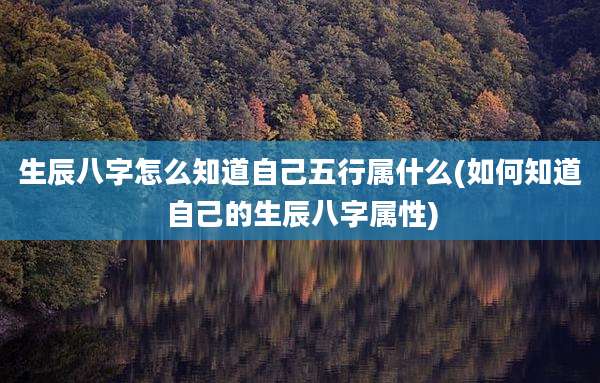 生辰八字怎么知道自己五行属什么(如何知道自己的生辰八字属性)