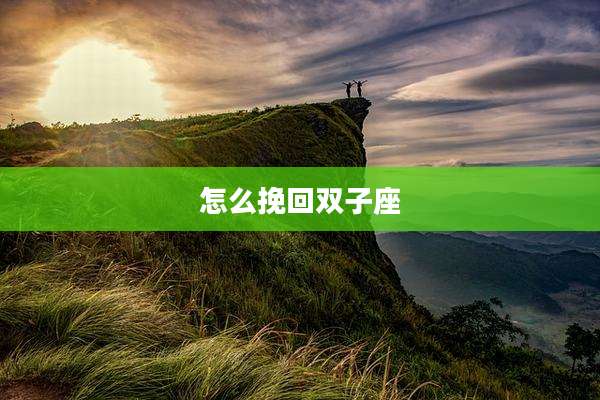 怎么挽回双子座