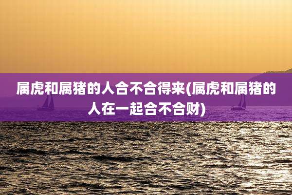 属虎和属猪的人合不合得来(属虎和属猪的人在一起合不合财)