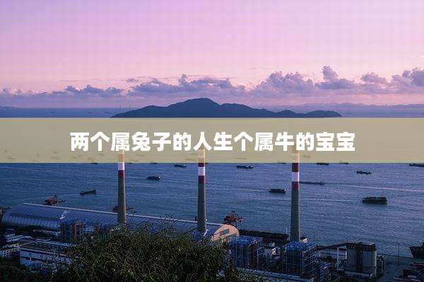 两个属兔子的人生个属牛的宝宝