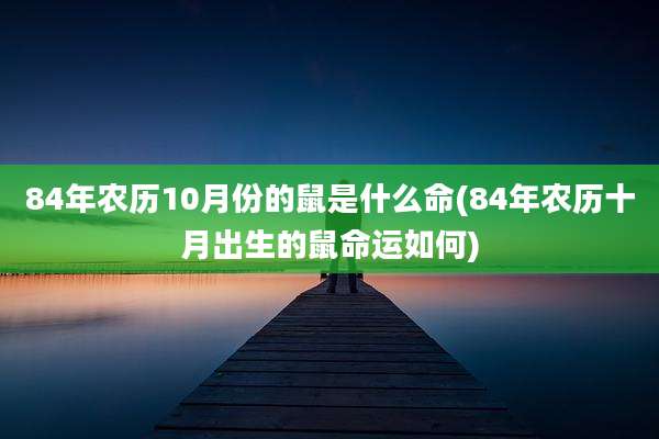 84年农历10月份的鼠是什么命(84年农历十月出生的鼠命运如何)