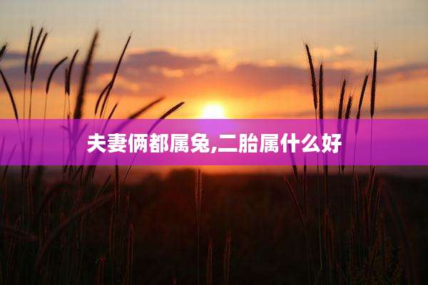 夫妻俩都属兔,二胎属什么好