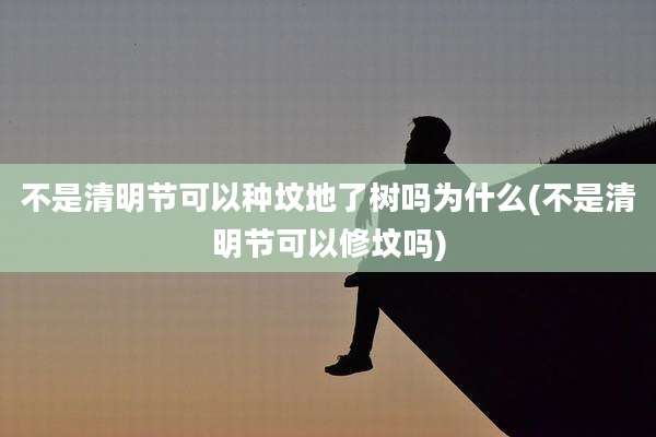 不是清明节可以种坟地了树吗为什么(不是清明节可以修坟吗)