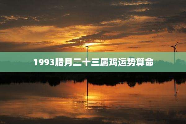 1993腊月二十三属鸡运势算命