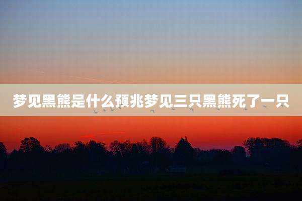 梦见黑熊是什么预兆梦见三只黑熊死了一只