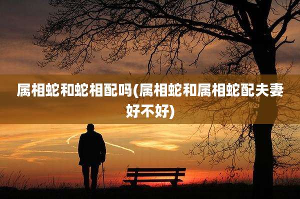 属相蛇和蛇相配吗(属相蛇和属相蛇配夫妻好不好)