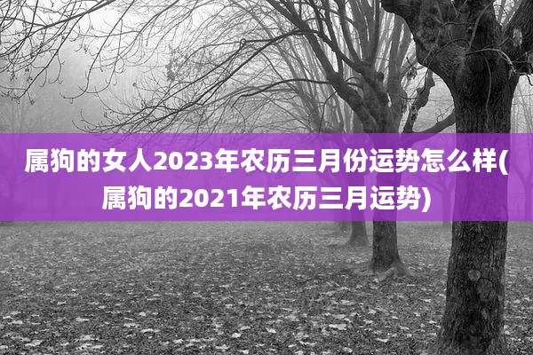 属狗的女人2023年农历三月份运势怎么样(属狗的2021年农历三月运势)