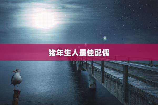 猪年生人最佳配偶