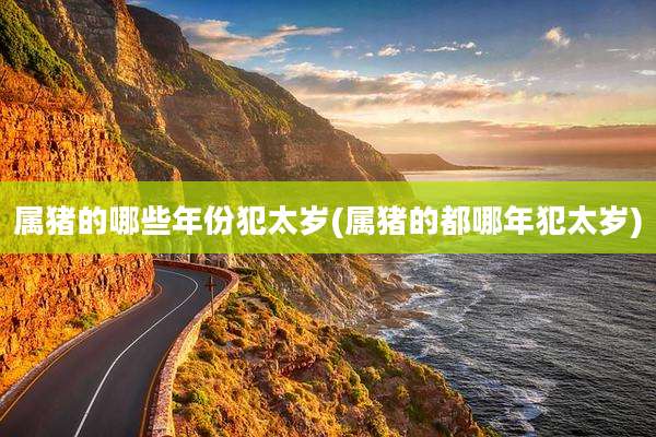 属猪的哪些年份犯太岁(属猪的都哪年犯太岁)