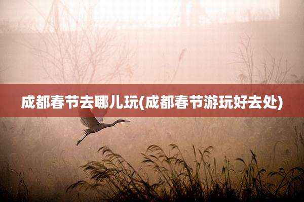成都春节去哪儿玩(成都春节游玩好去处)