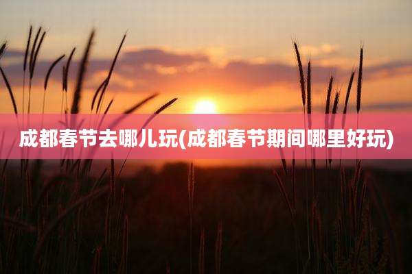 成都春节去哪儿玩(成都春节期间哪里好玩)