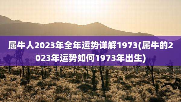 属牛人2023年全年运势详解1973(属牛的2023年运势如何1973年出生)