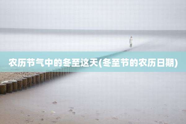 农历节气中的冬至这天(冬至节的农历日期)