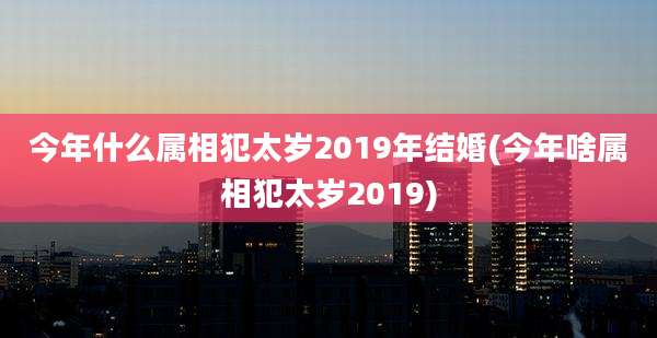 今年什么属相犯太岁2019年结婚(今年啥属相犯太岁2019)