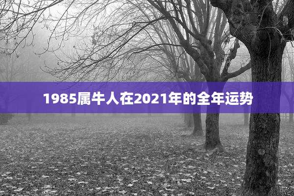1985属牛人在2021年的全年运势