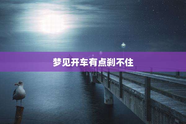 梦见开车有点刹不住