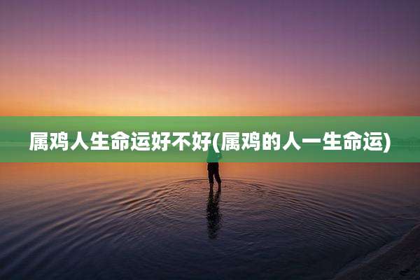 属鸡人生命运好不好(属鸡的人一生命运)