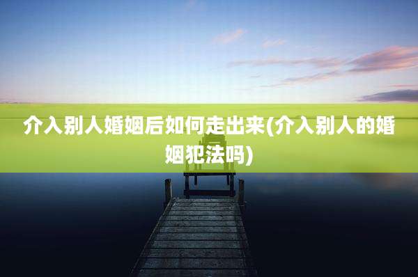 介入别人婚姻后如何走出来(介入别人的婚姻犯法吗)
