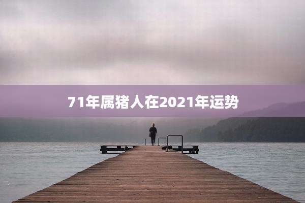 71年属猪人在2021年运势