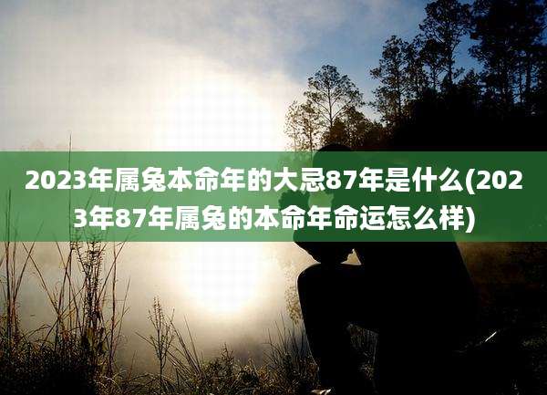 2023年属兔本命年的大忌87年是什么(2023年87年属兔的本命年命运怎么样)