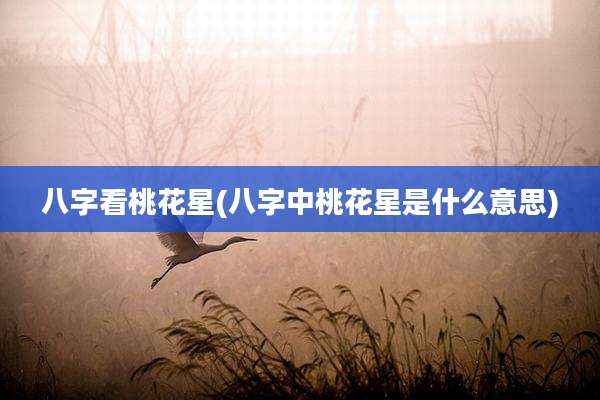 八字看桃花星(八字中桃花星是什么意思)